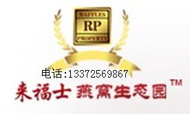 哪里能買(mǎi)到進(jìn)口優(yōu)質(zhì)燕窩 | 燕窩資產(chǎn)的精致管理與采購(gòu)指南